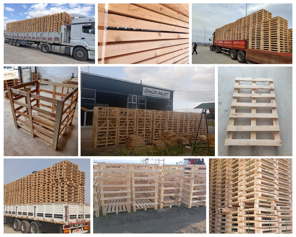 Noord-Scharwoude Houten Kisten, Europallets Groothandel Kopen
